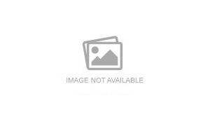 Maple Table MT-O42060-000