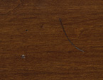 MD12